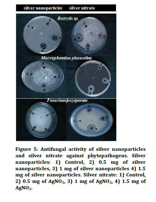 Jrmds-22-77103-Antifungal