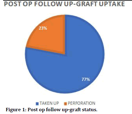 Medical-Dental-graft