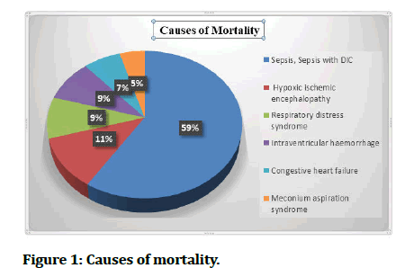 Medical-Dental-mortality