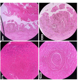 Medical-Dental-stain