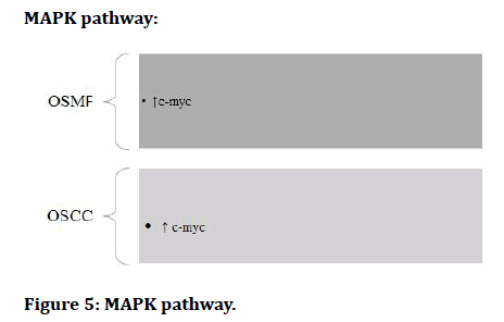 Medical-MAPK