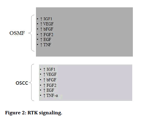 Medical-RTK