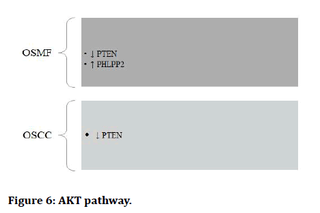 Medical-pathway