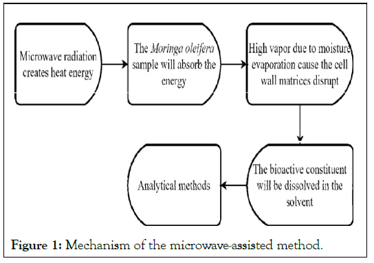 Medicinal-Aromatic-microwave