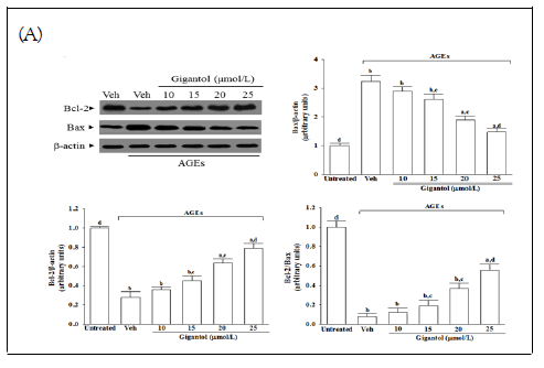 Medicine-Rehabilitation-proteins