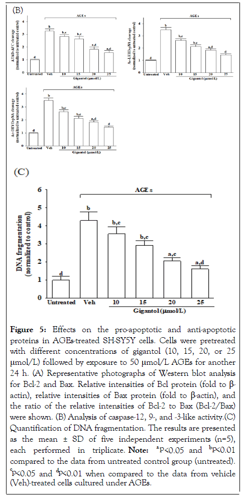 Medicine-Rehabilitation-proteins