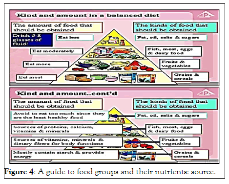 Nutrition-groups