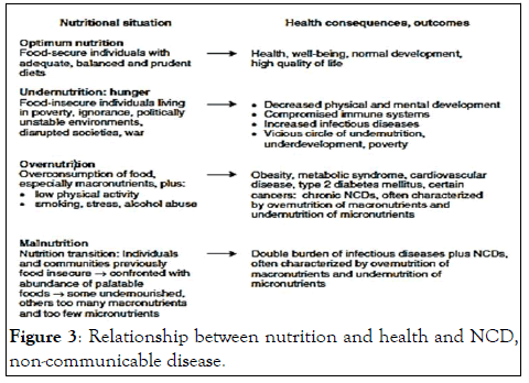 Nutrition-nutrition