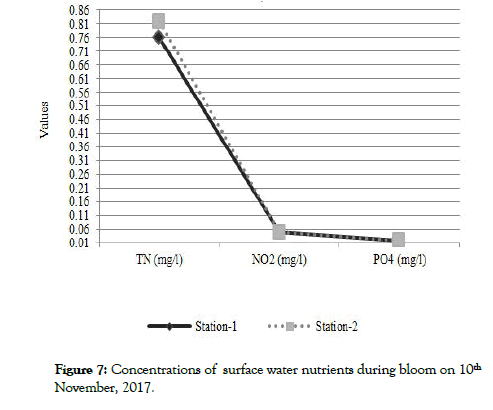 OCN-nutrients