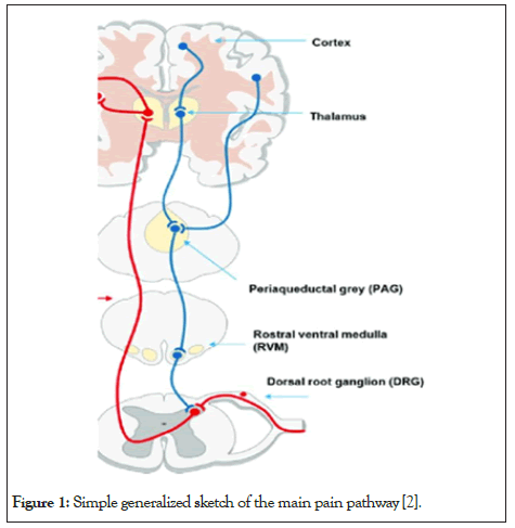 Physical-Medicine-pain