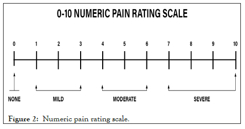 Physical-Medicine-rating