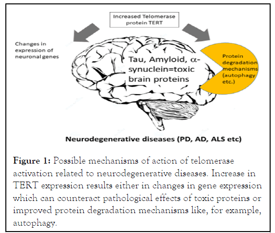 Physiology-neurodegenerative