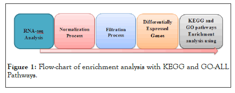 analysis