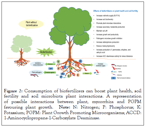 biofertilizers