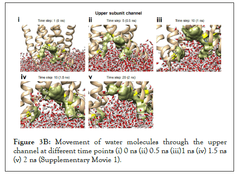 molecules