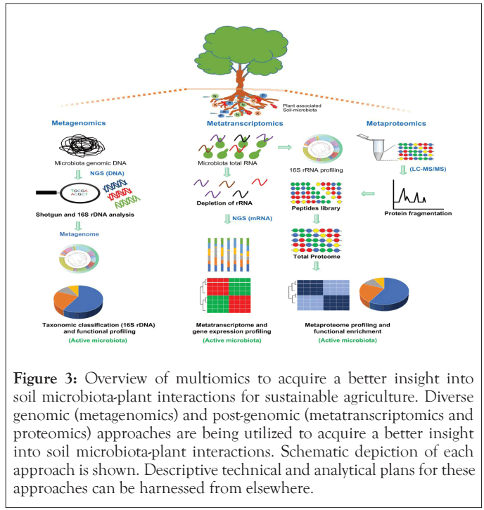 multiomics