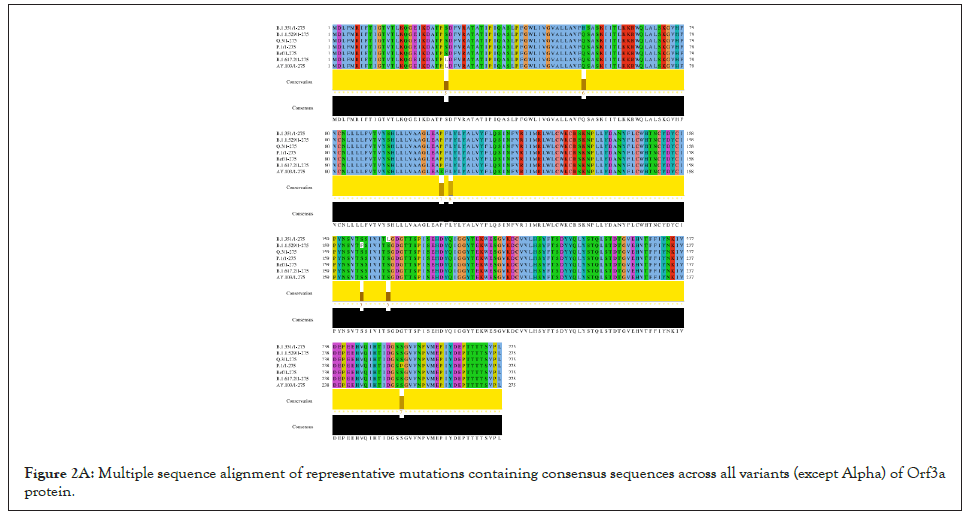 mutations