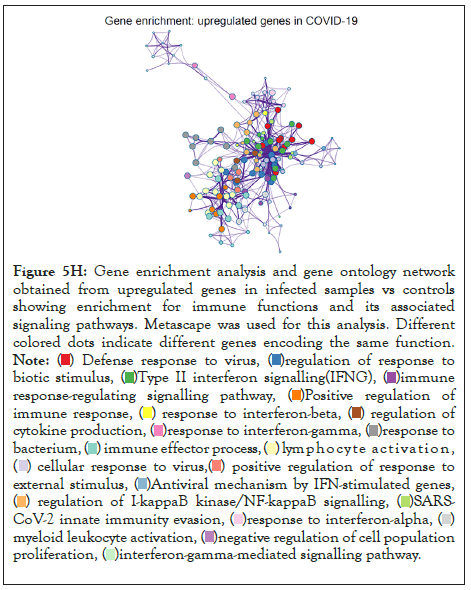 ontology