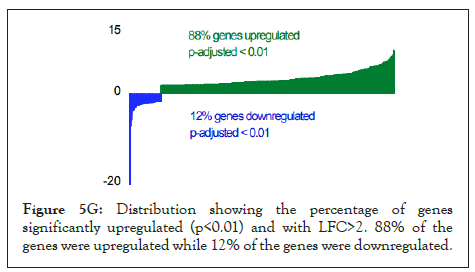 percentage