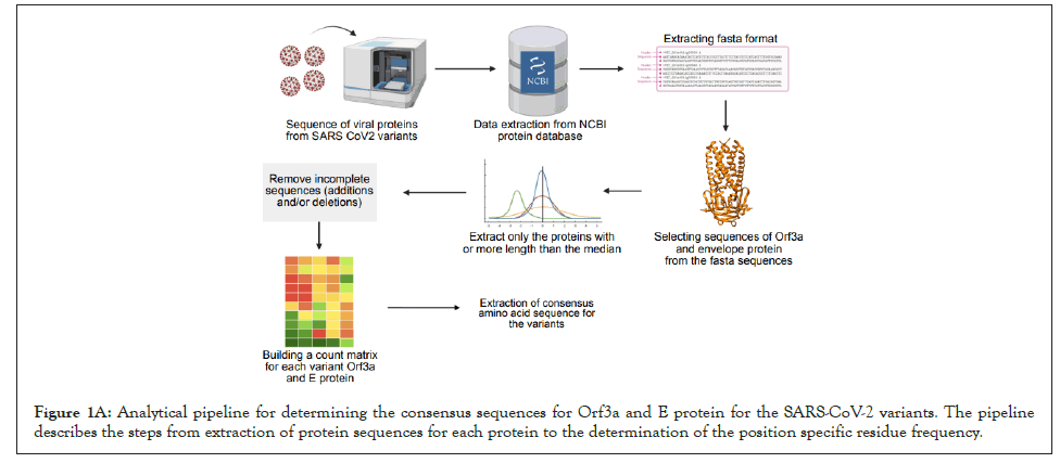 sequences