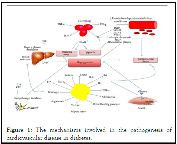 acute-mechanisms