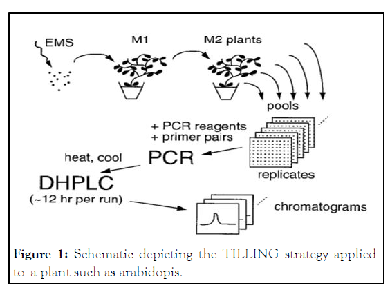 agricultural-climate