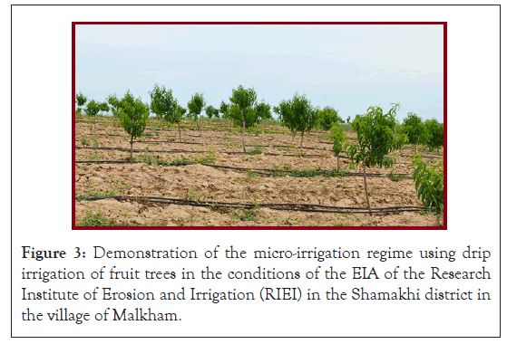 agricultural-micro-irrigation