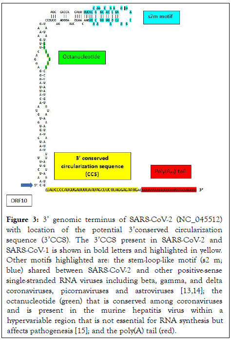 ancient-diseases-circularization