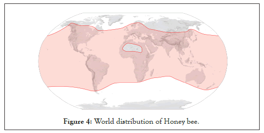 ancient-diseases-distribution