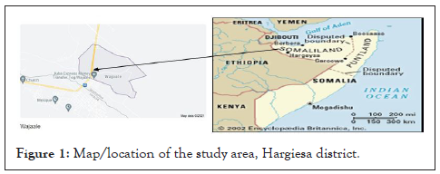 ancient-diseases-hargiesa