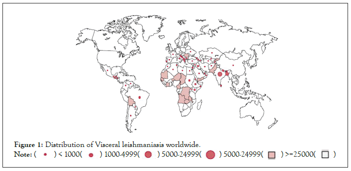 ancient-diseases-leishmaniasis