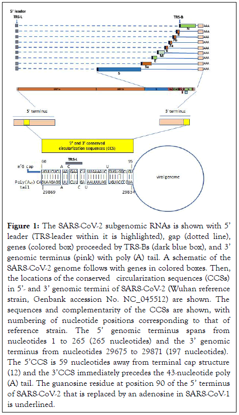 ancient-diseases-subgenomic