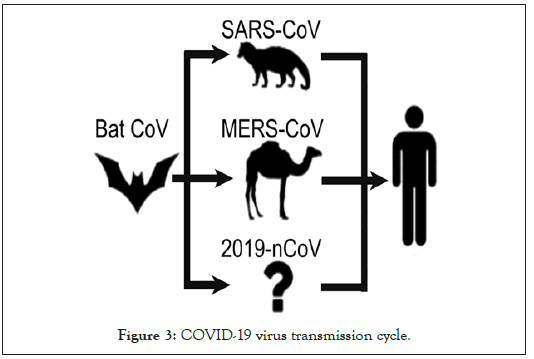 ancient-diseases-transmission