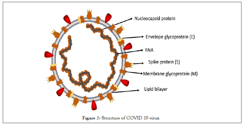 ancient-diseases-virus