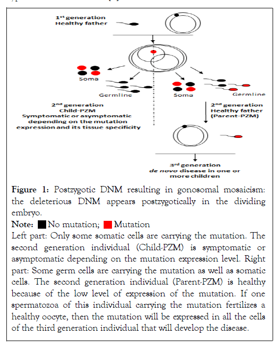 andrology-dnm