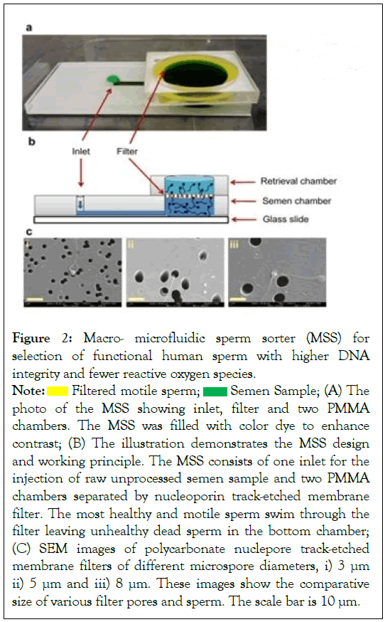 andrology-microfluidic