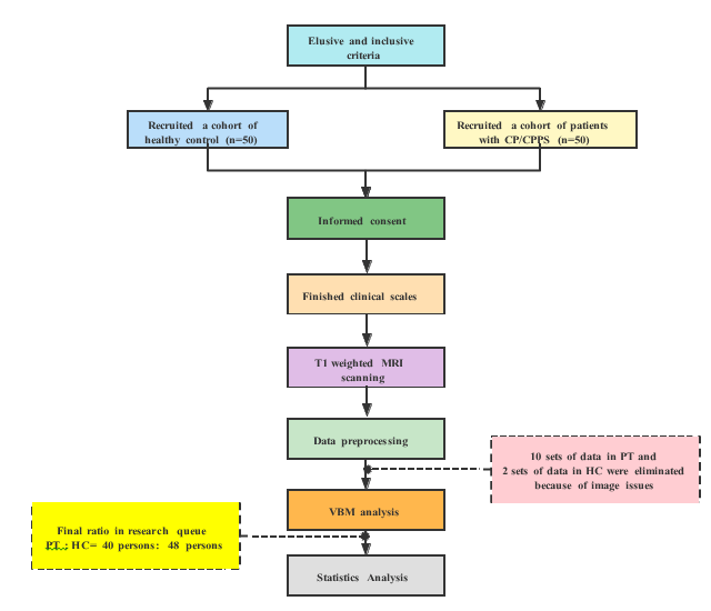 andrology-open-chart