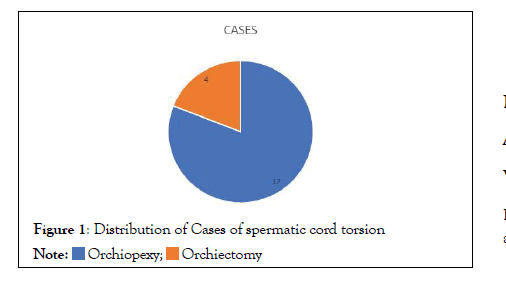 andrology-spermatic