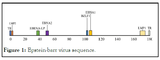 applied-microbiology-sequence