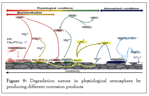 automobile-degradation