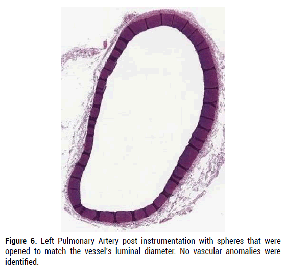 biology-anomalies