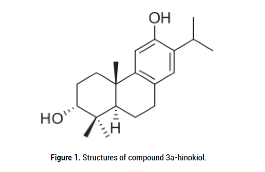 biology-hinokiol