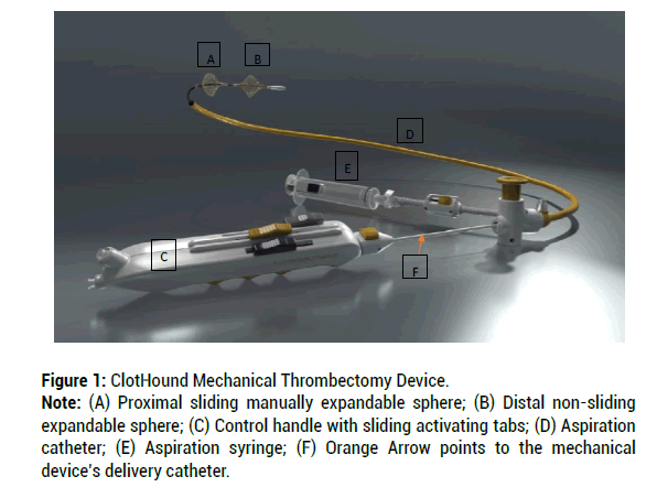 biology-thrombectomy