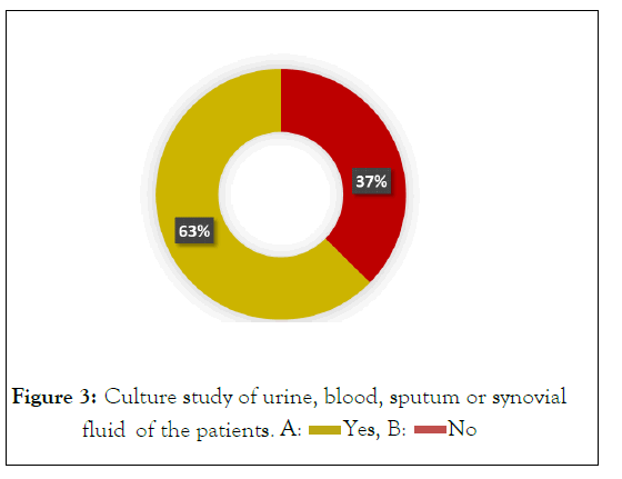 care-culture