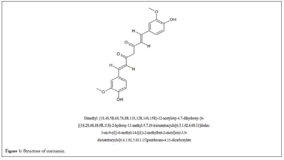 chromatography-curcumin