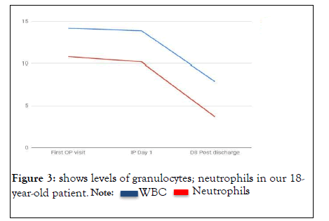 clinical-granulocytes