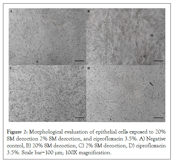 clinical-microbiology-and-antimicrobials-cells