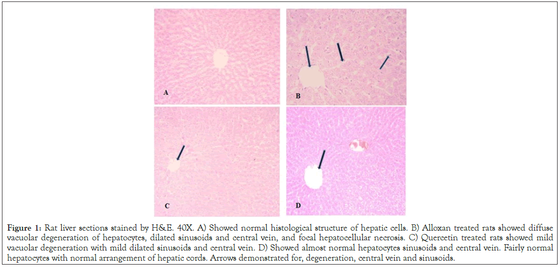 histological