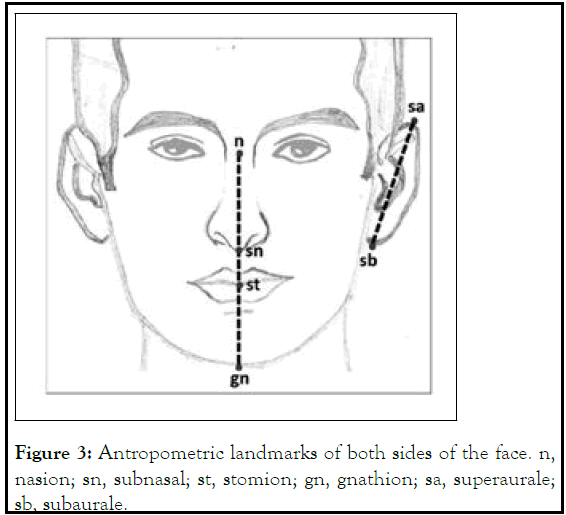 dermatology-antropometric