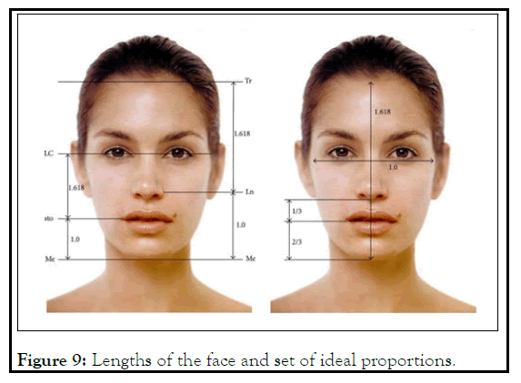 dermatology-proportions